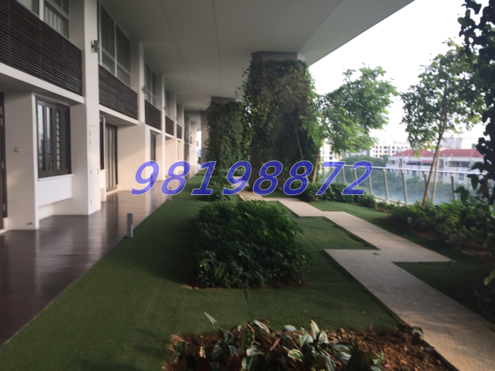 Jardin (D21), Condominium #38135132